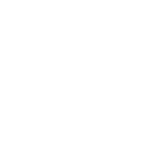 Network Icon